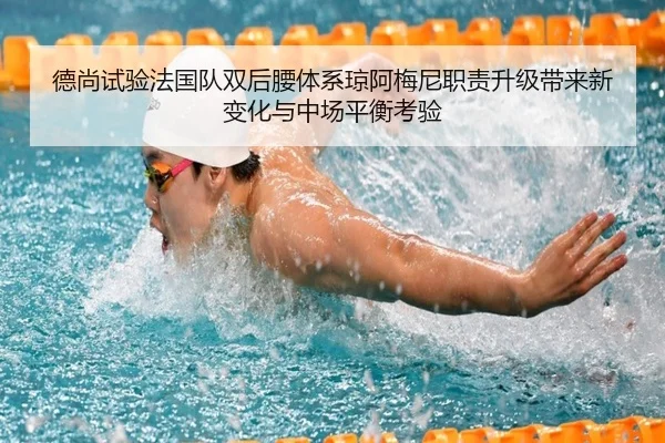 德尚试验法国队双后腰体系琼阿梅尼职责升级带来新变化与中场平衡考验